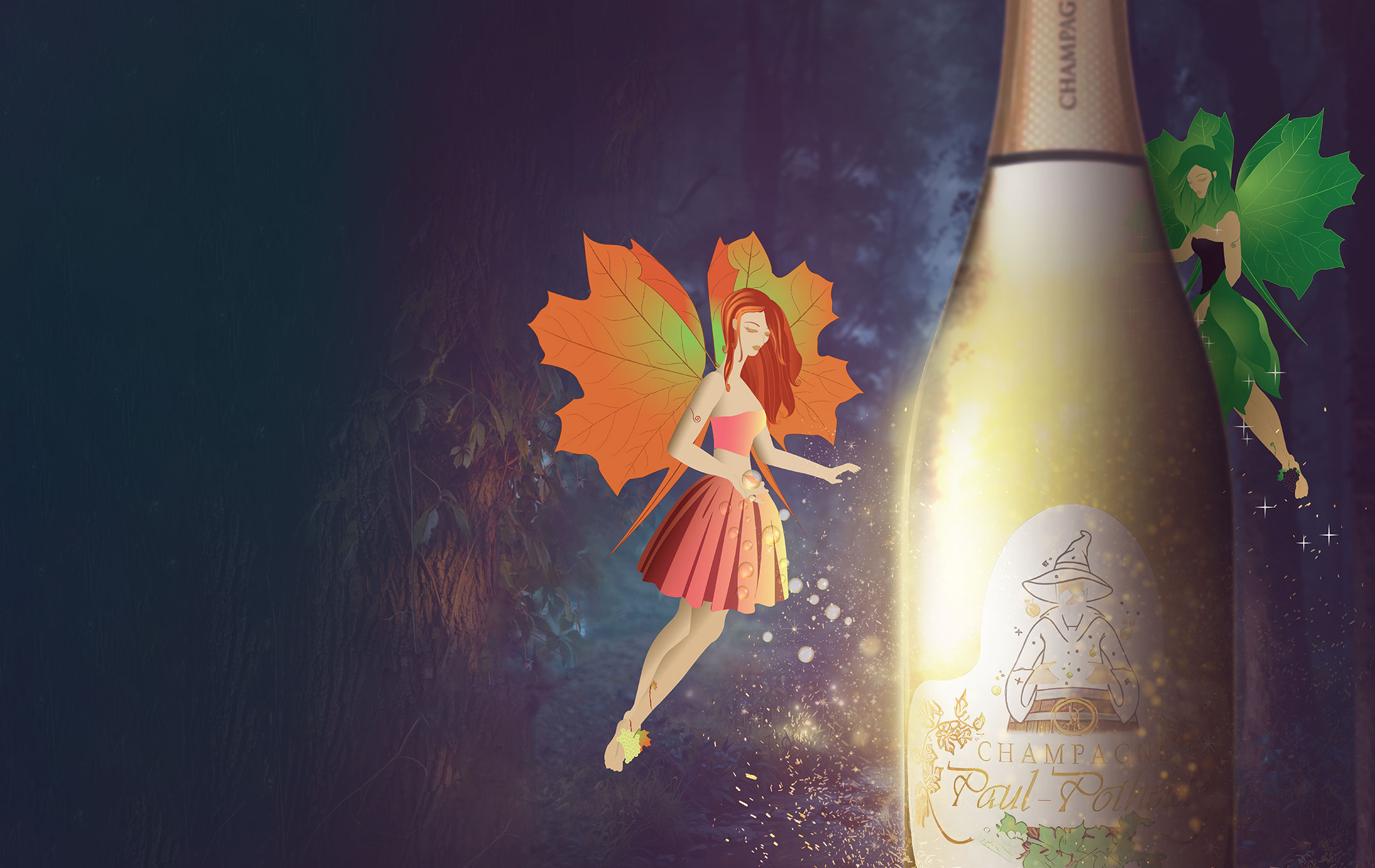 Champagne Paul Pothelet - Contact